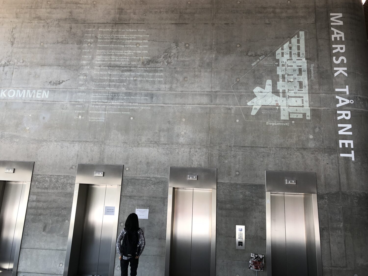 Lift lobby at Mærsk Tårnet, the wayfinding wall listing the departments and Novo Nordisk Foundation centres floor by floor.