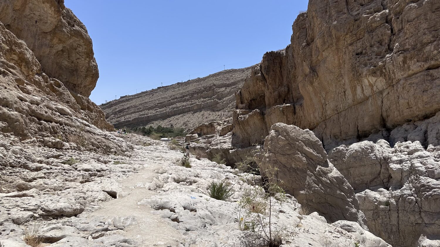 A canyon in the Hajar mountains, the limestone bedding planes stacked and tilted along the wadi wall.
