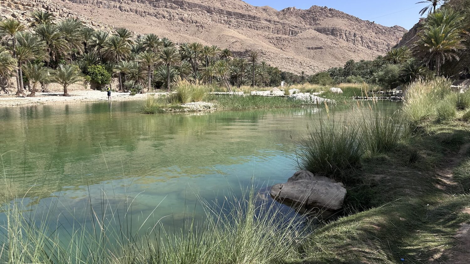 The wadi pool from the bank, mountains behind and palms along the water.