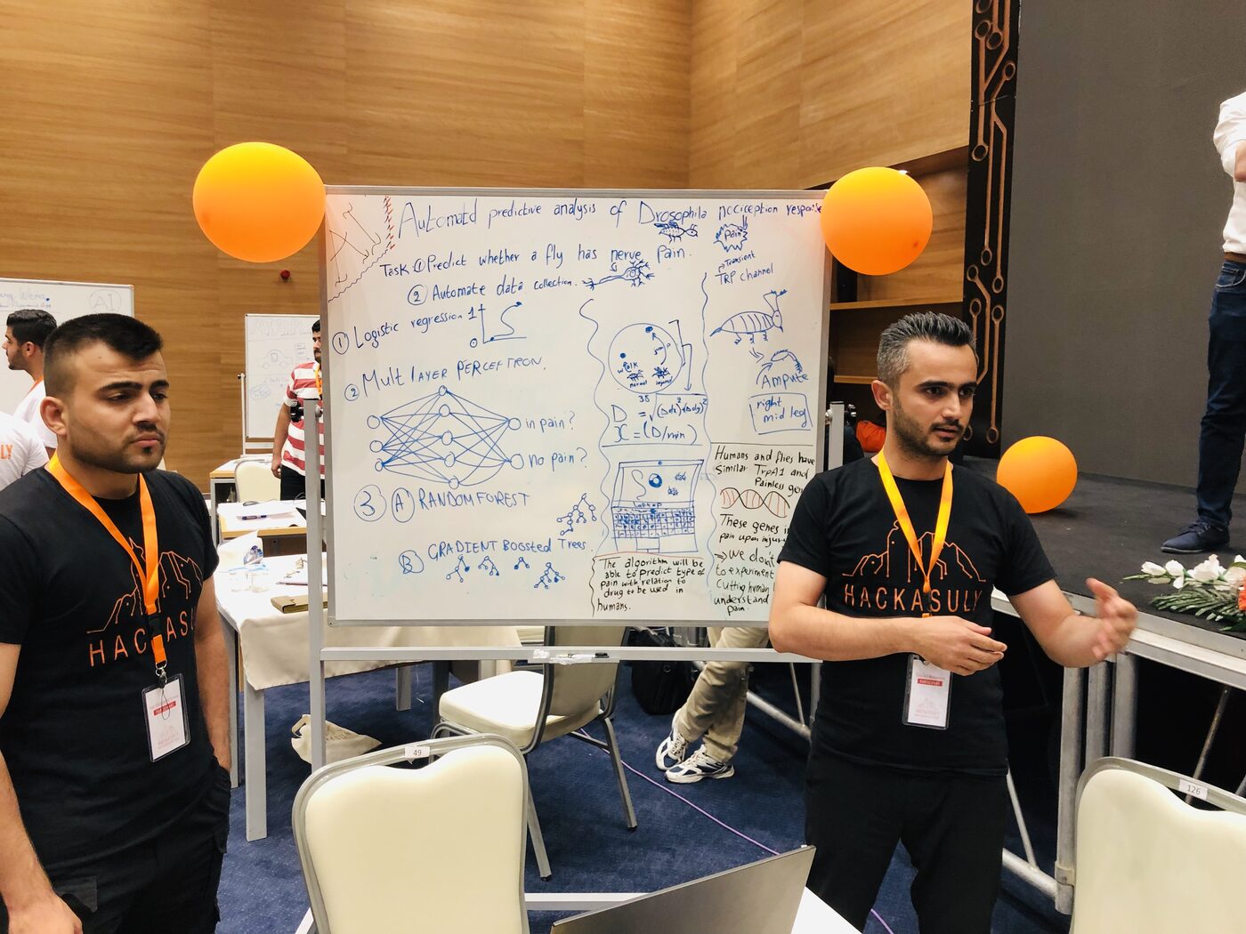 Two participants in Hackasuly T-shirts beside a whiteboard setting out an automated predictive analysis of Drosophila nociception response, with logistic regression, a multilayer perceptron, random forest and gradient boosted trees.